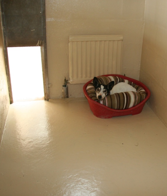 Greenfields Boarding Kennels & Cattery